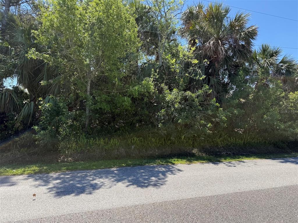 A densely wooded, undeveloped residential lot sits adjacent to an asphalt road — 25 CHEROKEE COURT W, PALM COAST, FL