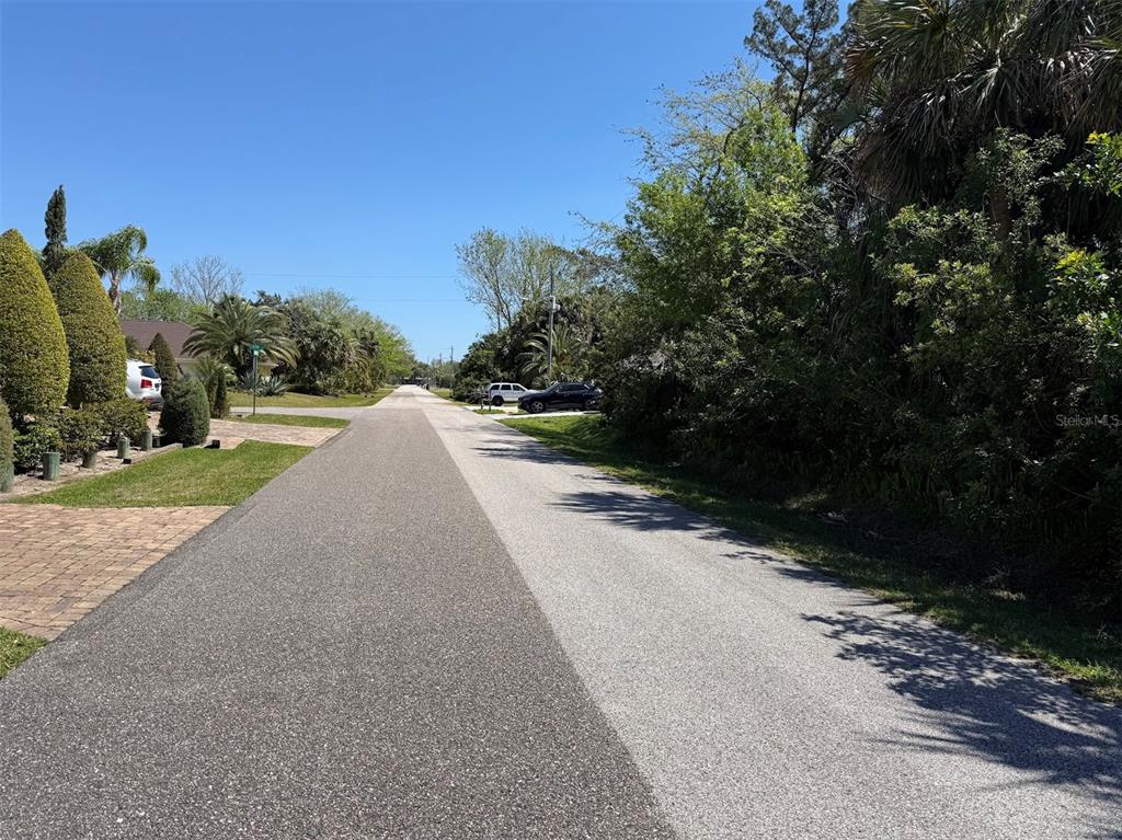 A paved residential street lined with trees, shrubs, and parked cars under a clear blue sky — 25 CHEROKEE COURT W, PALM COAST, FL