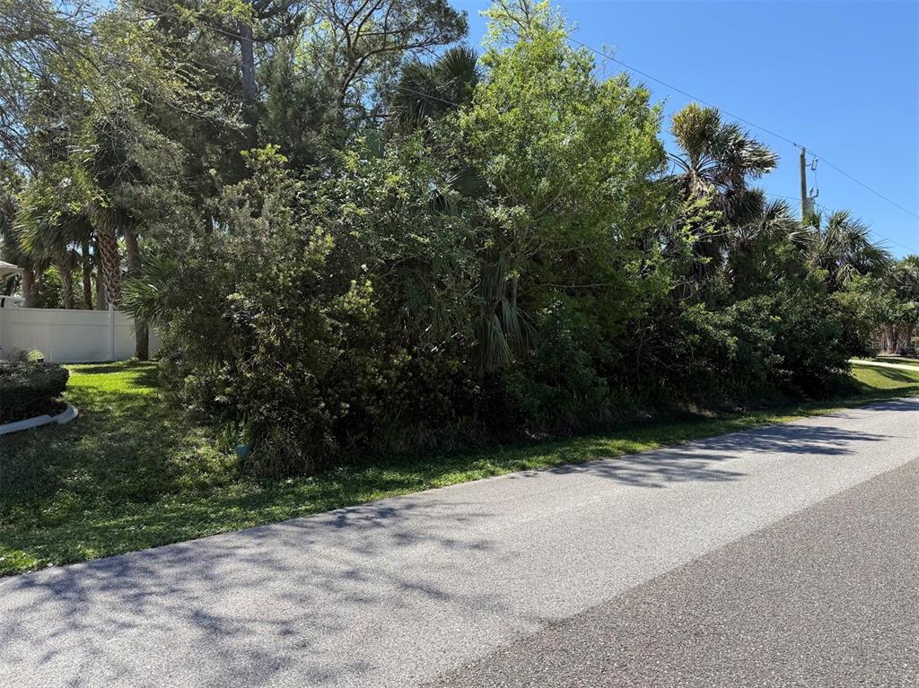A paved road runs alongside a dense area of trees and shrubs under a clear sky — 25 CHEROKEE COURT W, PALM COAST, FL