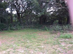 A grassy, partially cleared lot is bordered by a dense line of mature trees — 709 S ROOKS AVENUE, INVERNESS, FL