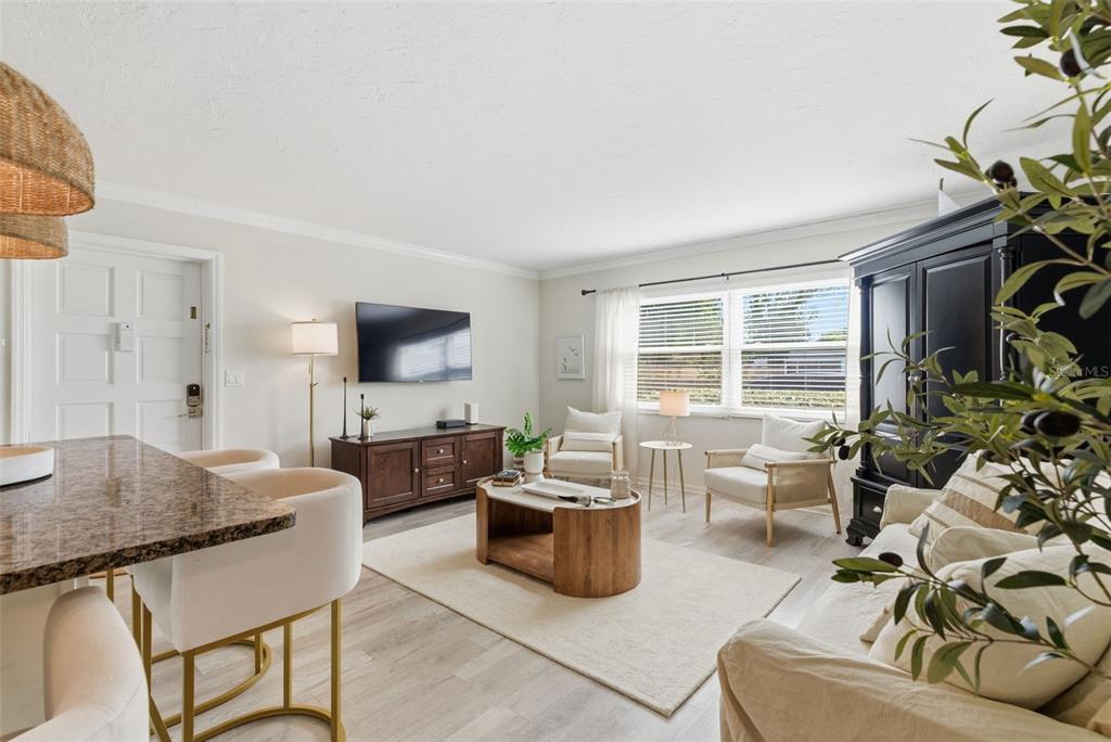 A living room features light wood flooring, a beige rug, a television, and neutral furniture — 5800 HOLLYWOOD BOULEVARD UNIT 214, SARASOTA, FL
