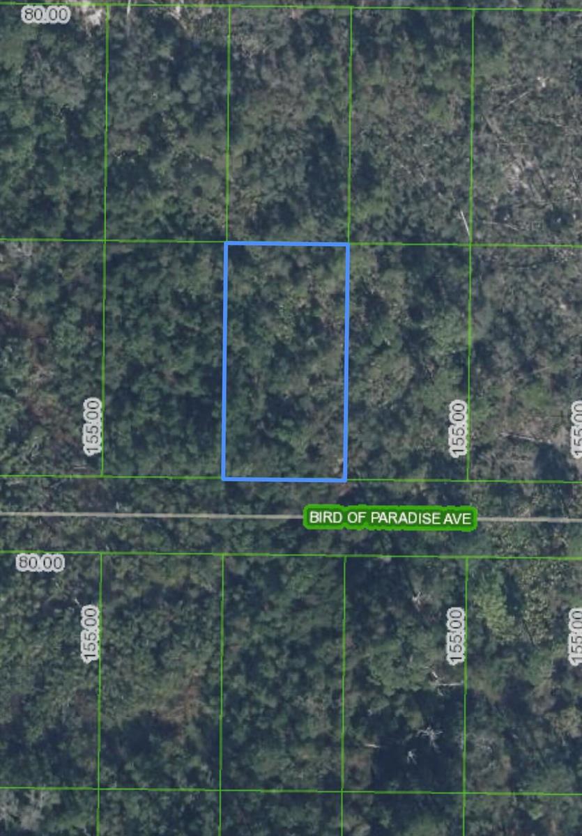 2330 Bird Of Paradise Avenue, Sebring FL 33875