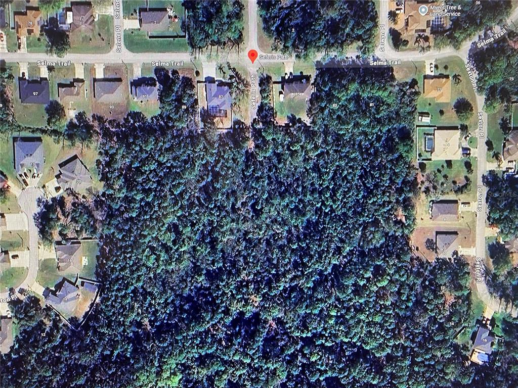 000 SEFERIS PATH PATH, PALM COAST, FL — photo 2 of 6