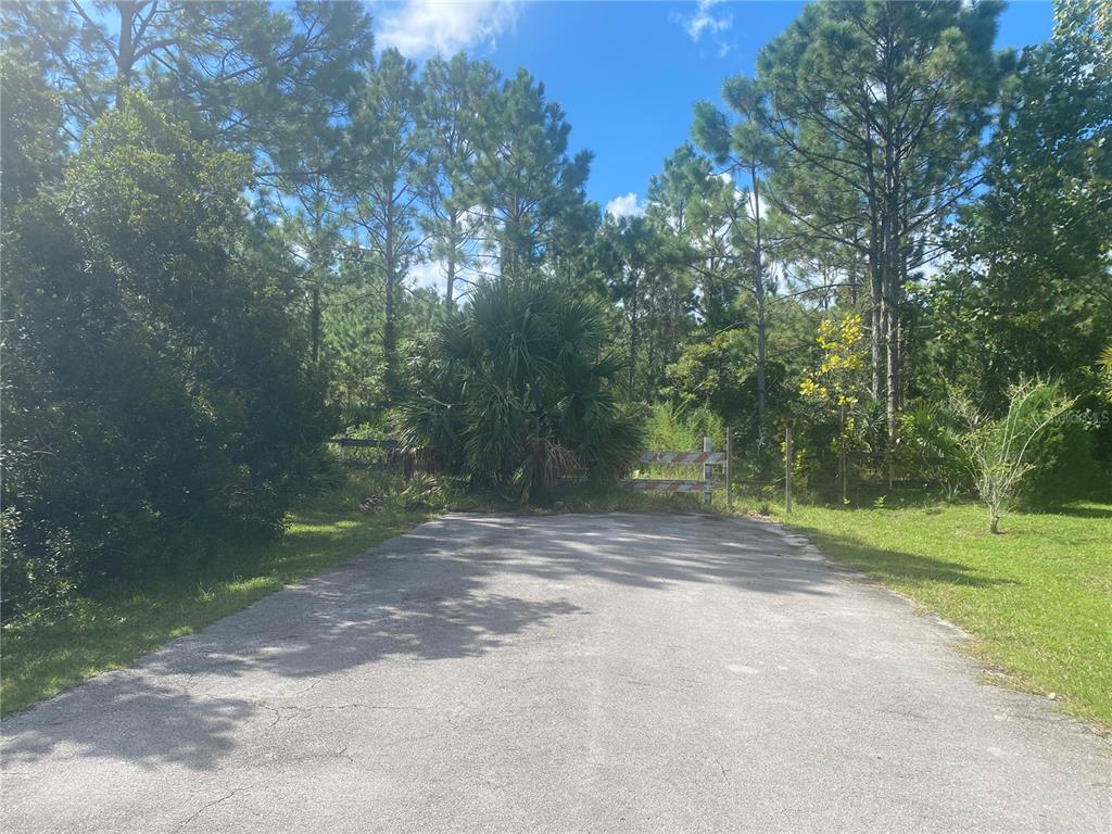 000 SEFERIS PATH PATH, PALM COAST, FL — photo 4 of 6