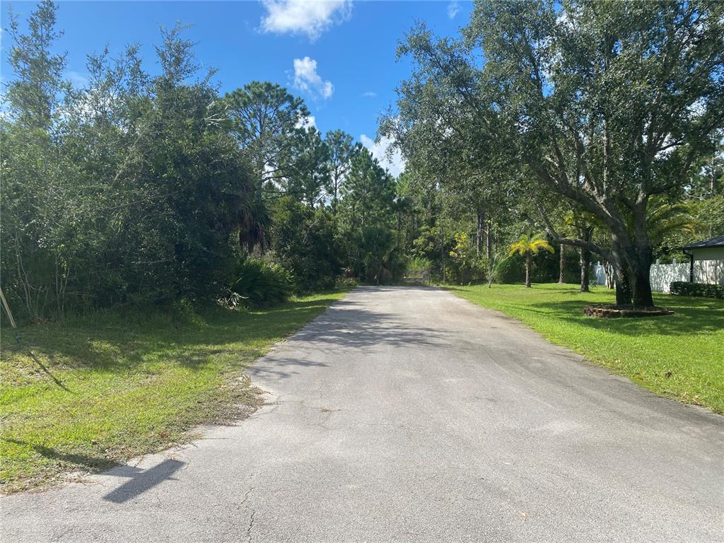 000 SEFERIS PATH PATH, PALM COAST, FL — photo 5 of 6