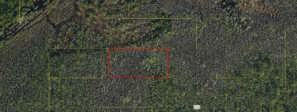 HOLOPAW GROVES ROAD, ST CLOUD, FL — photo 3 of 4