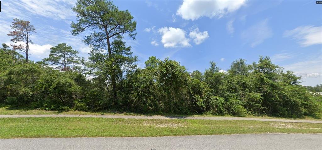 A vacant, wooded residential lot sits behind a sidewalk and a paved street — CATALINA BLVD, DELTONA, FL