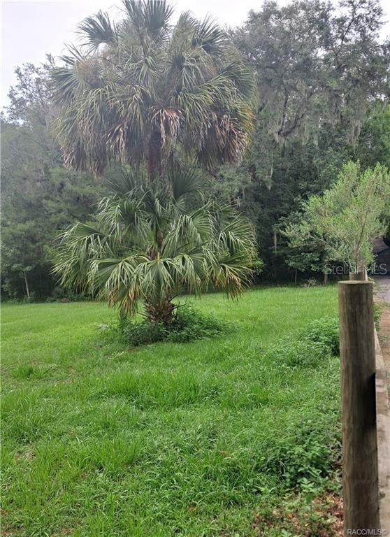 130TH STREET, BELLEVIEW, FL — photo 3 of 5