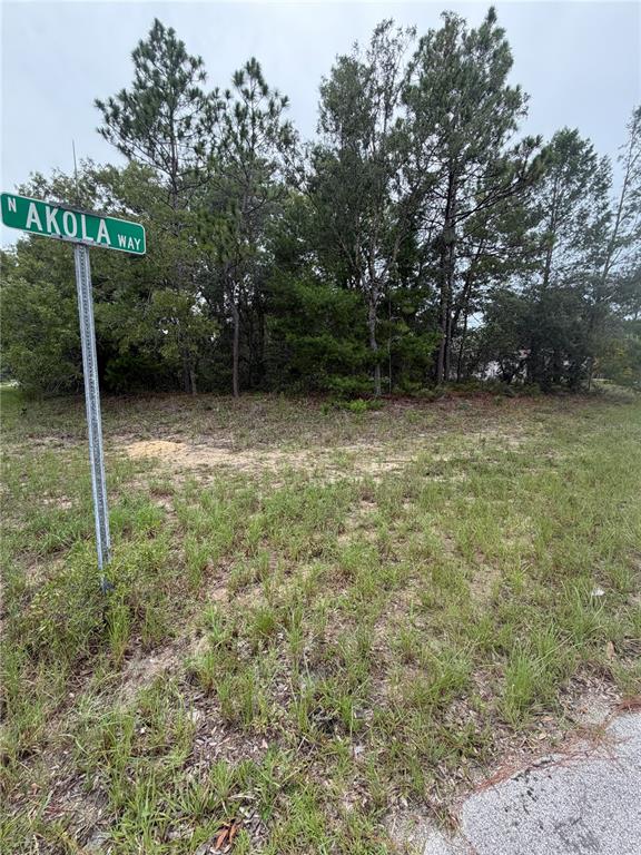 A street sign for Akola Way stands in front of a wooded, undeveloped grassy lot — 9512 N AKOLA WAY, CITRUS SPRINGS, FL
