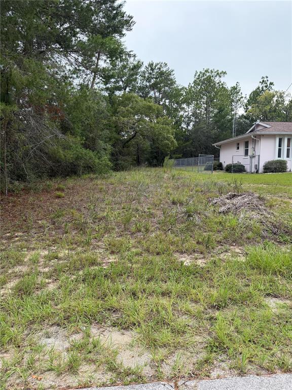 A vacant, grassy lot sits next to a light pink house with a chain-link fence — 9512 N AKOLA WAY, CITRUS SPRINGS, FL
