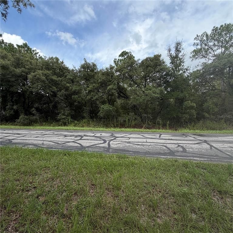 A paved road runs in front of a dense, wooded area under a cloudy sky — 9512 N AKOLA WAY, CITRUS SPRINGS, FL