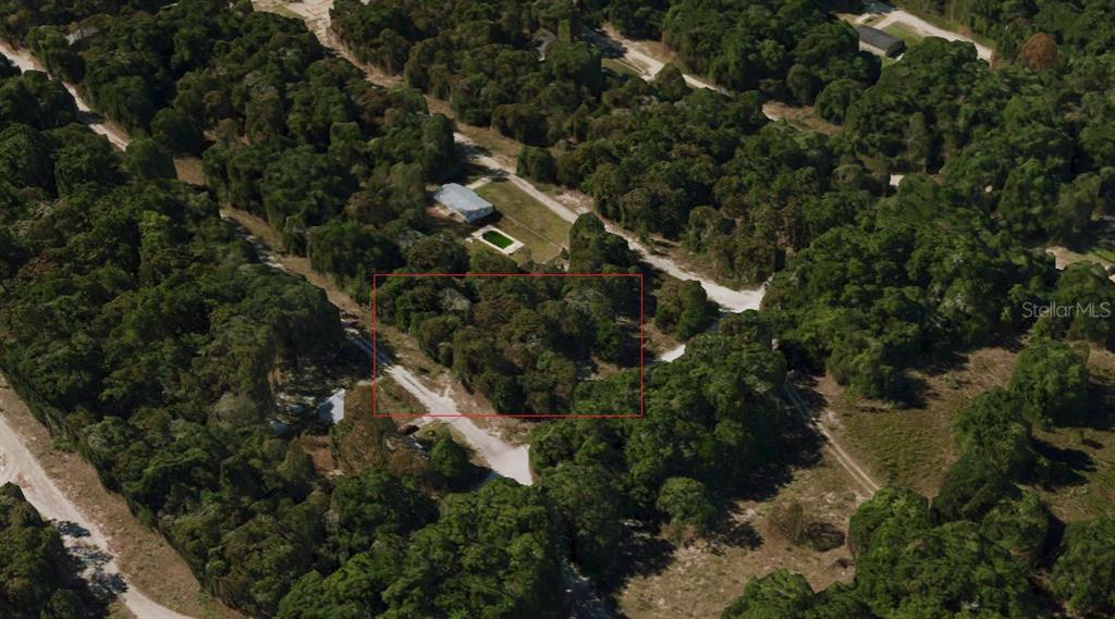 An aerial view shows a rectangular plot of land outlined in red amidst dense trees — 0 NW 56TH AVENUE, OCALA, FL