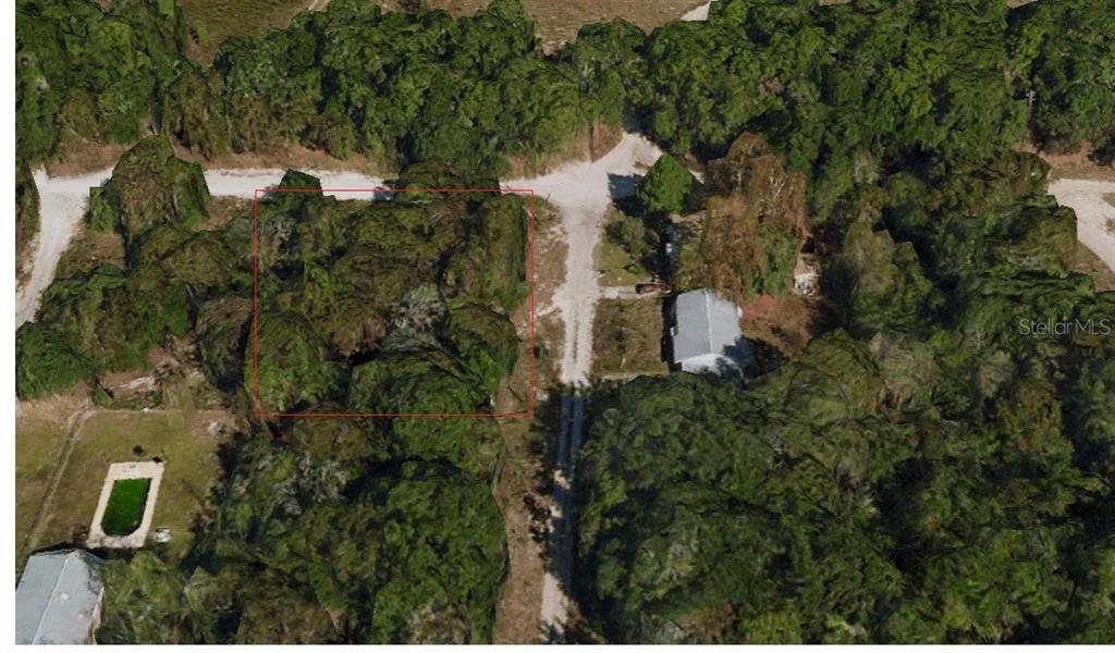 An aerial view shows a wooded, rectangular plot of land outlined in red — 0 NW 56TH AVENUE, OCALA, FL