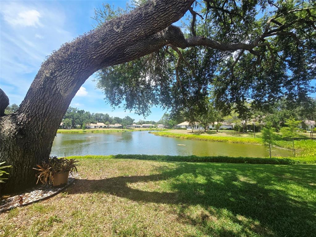 A large oak tree frames a view of a pond behind a residential neighborhood — 5808 GARDEN LAKES DRIVE, BRADENTON, FL