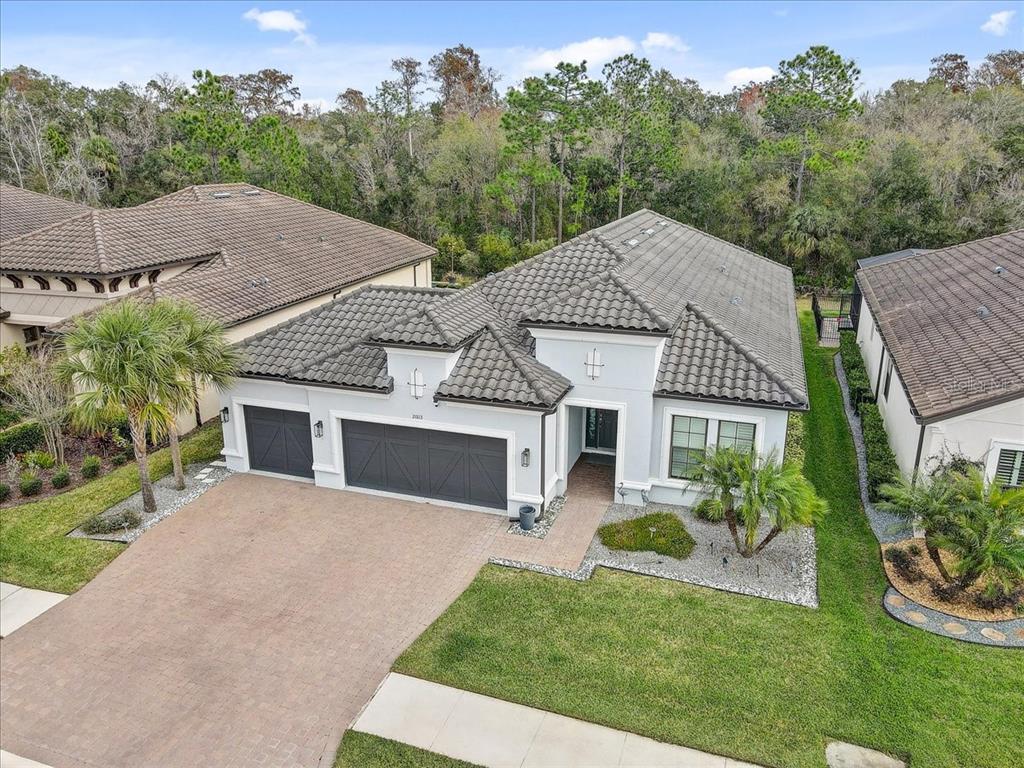 An aerial view shows a single-story house with a tile roof and a paved driveway — 20113 UMBRIA HILL DRIVE, TAMPA, FL