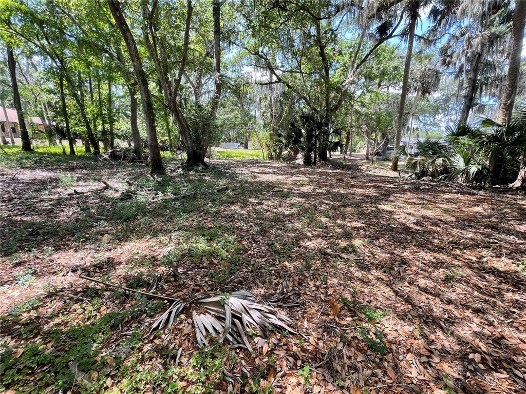 A wooded, undeveloped lot covered in fallen leaves and surrounded by mature trees and palms — 1496 KETTLEDRUM TRAIL, DELTONA, FL
