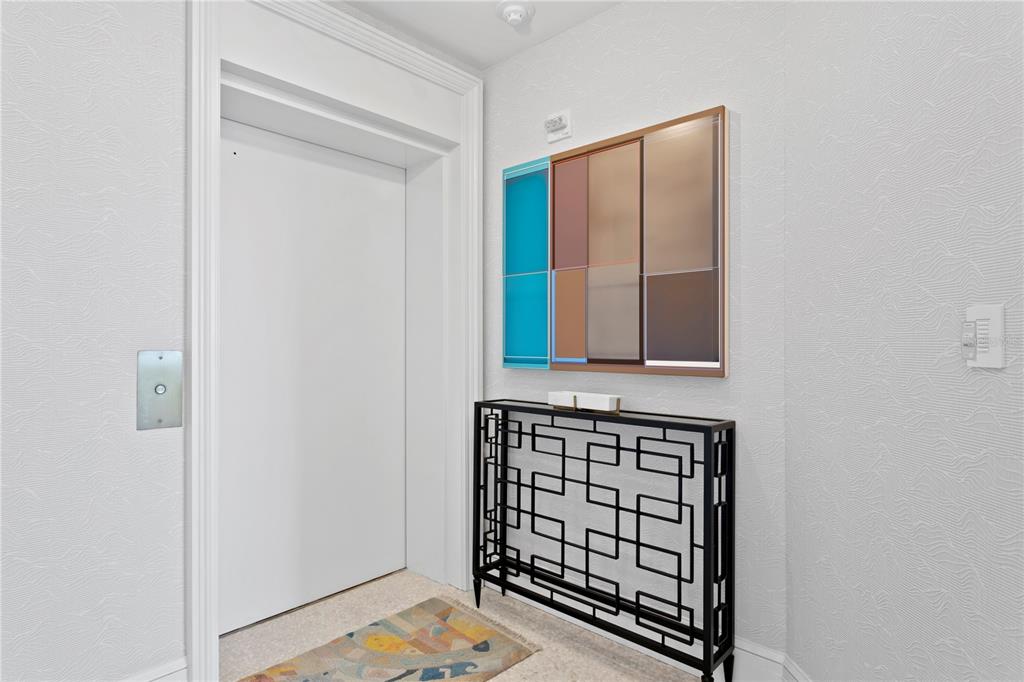 An elevator door stands next to a black metal console table and abstract wall art — 4201 BAYSHORE BOULEVARD UNIT 2101, TAMPA, FL