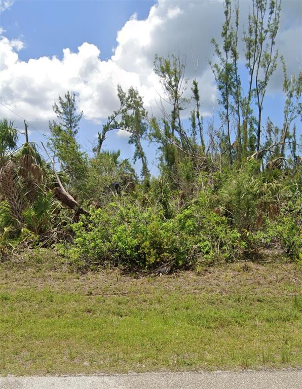 A grassy foreground leads to a dense area of trees and overgrown vegetation under clouds — 15401 MELPORT CIRCLE, PORT CHARLOTTE, FL
