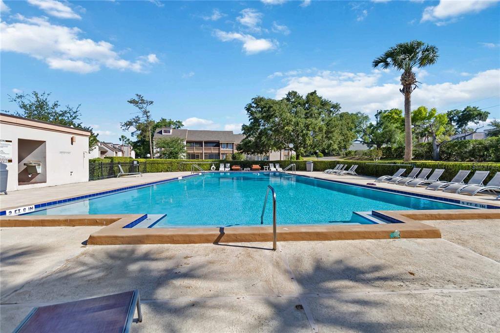A rectangular outdoor swimming pool with lounge chairs and a palm tree under a blue sky — 440 ORIENTA POINT STREET, ALTAMONTE SPRINGS, FL
