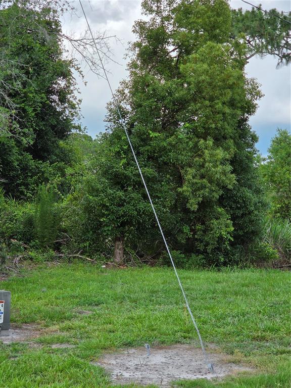 A metal utility pole stands at an angle in a grassy, wooded area — 3227 URMEY AVENUE, DELTONA, FL