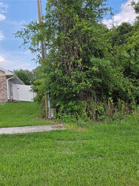 A utility box sits near a utility pole next to a dense, overgrown wooded area — 3227 URMEY AVENUE, DELTONA, FL