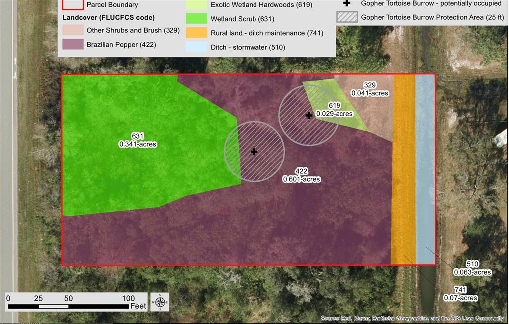This map displays landcover types, parcel boundaries, and gopher tortoise burrow locations on a property — DALLAS BOULEVARD, ORLANDO, FL
