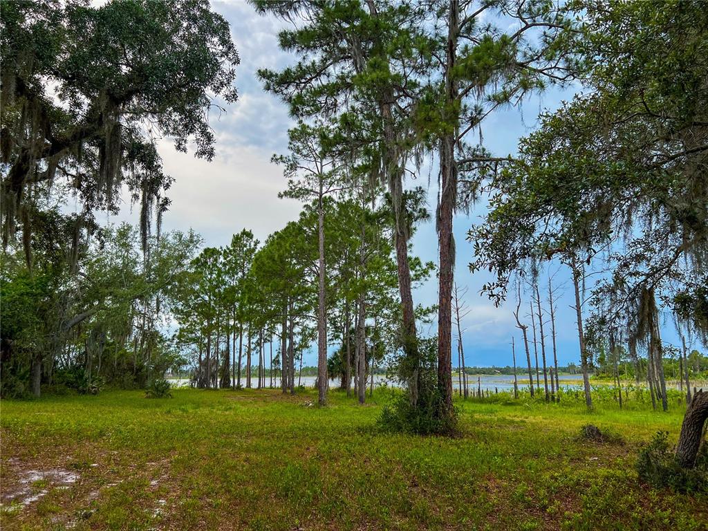 2332 MITCHELL ISLAND ROAD