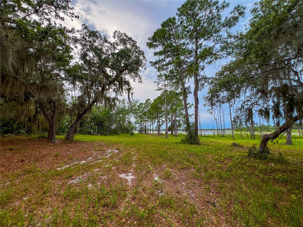 A grassy, wooded lot features mature trees with Spanish moss and a view of water — 2332 MITCHELL ISLAND ROAD, DELTONA, FL