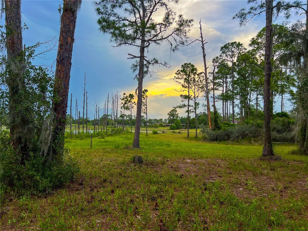 A grassy, wooded lot features tall pine trees under a bright, cloudy sunset sky — 2332 MITCHELL ISLAND ROAD, DELTONA, FL