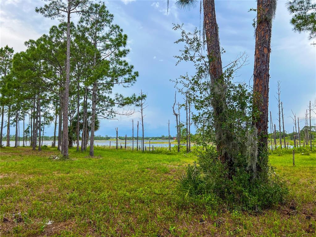 A grassy lot with pine trees overlooks a lake under a cloudy blue sky — 2332 MITCHELL ISLAND ROAD, DELTONA, FL