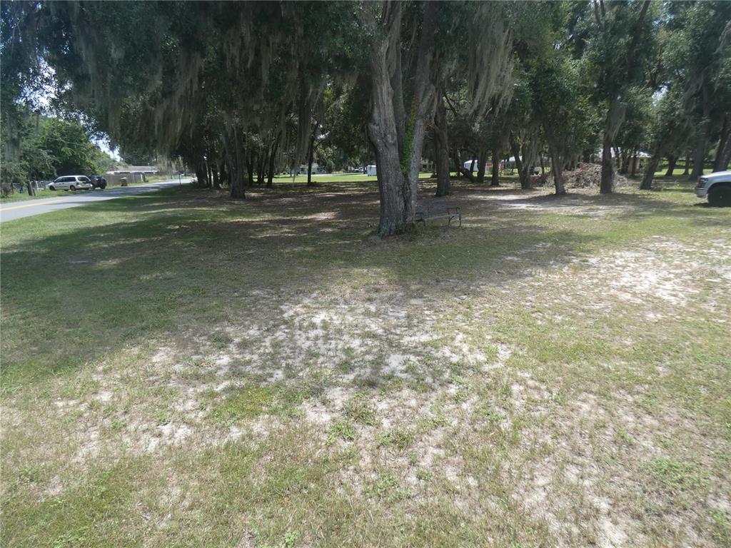 ILLINOIS STREET, LADY LAKE, FL — photo 2 of 14
