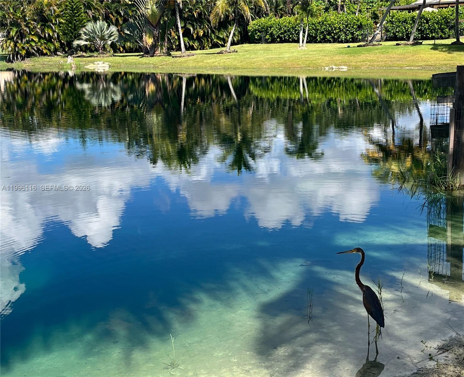 A heron stands in the shallow water of a pond reflecting trees and the sky — 18901 SW 63rd St, Southwest Ranches FL 33332, SOUTHWEST RANCHES, FL