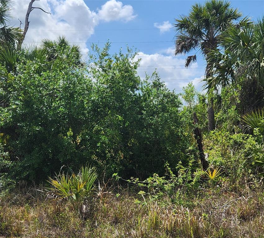 MANSFIELD CIRCLE, NORTH PORT, FL — photo 2 of 2