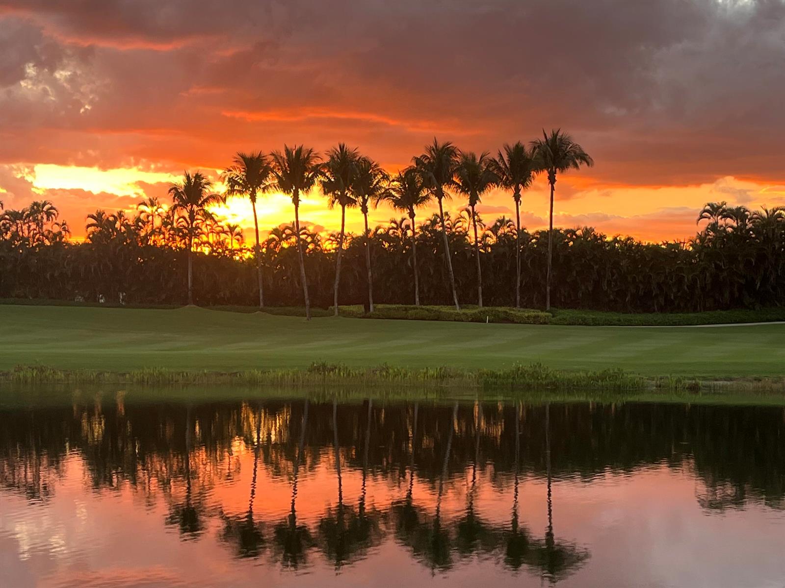 A row of palm trees stands behind a golf course green reflecting in a pond — 5835 NW 42nd Terrace, Boca Raton FL 33496, BOCA RATON, FL