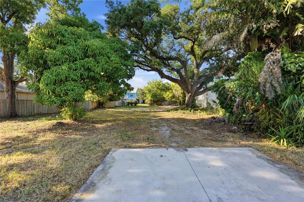 A concrete driveway leads to a vacant, grassy lot shaded by large mature trees — 2929 W AVERILL AVENUE, TAMPA, FL