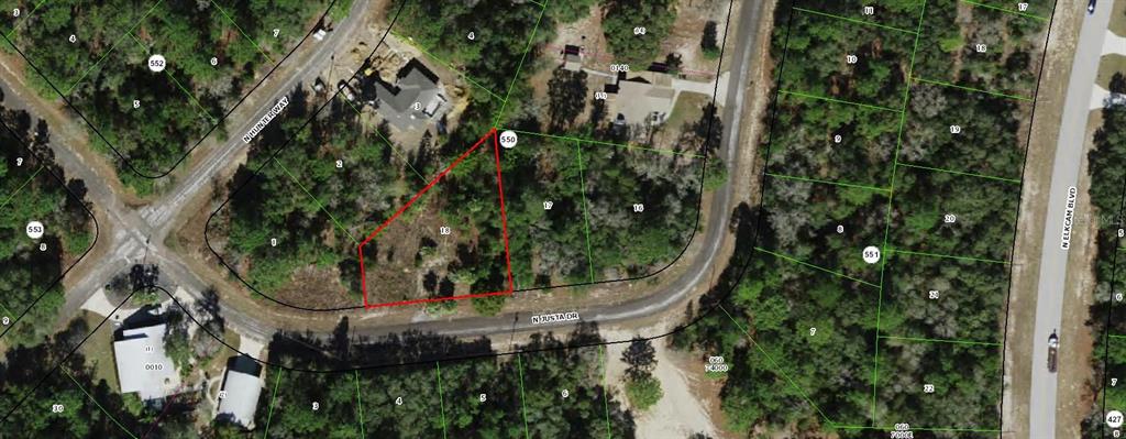 This is an aerial map showing a vacant, wooded residential lot outlined in red — 9173 N JUSTA DRIVE, CITRUS SPRINGS, FL