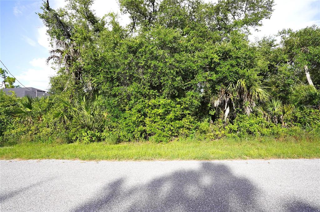 A dense, overgrown wooded lot sits behind a paved road under a blue sky — 2140 FERNWOOD STREET, PORT CHARLOTTE, FL