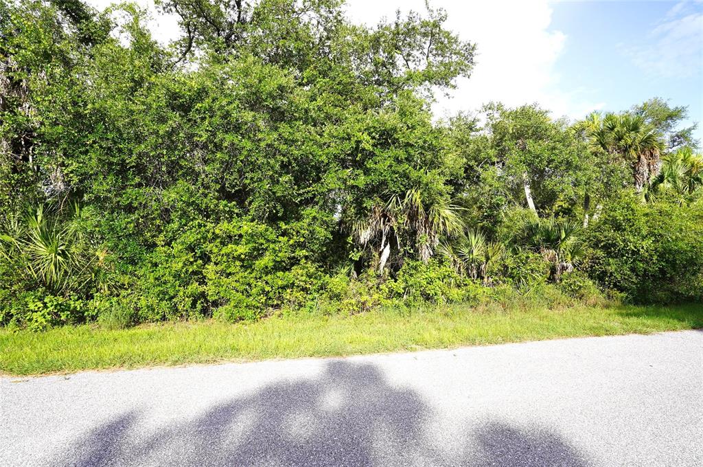 A paved road runs in front of a dense, wooded lot with various trees and shrubs — 2140 FERNWOOD STREET, PORT CHARLOTTE, FL
