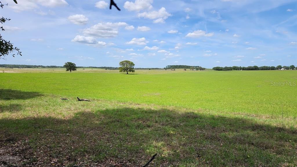 A wide, grassy field under a blue sky with scattered clouds and two prominent trees — Lot 27 SW PINE BLUFFS ROAD, DUNNELLON, FL