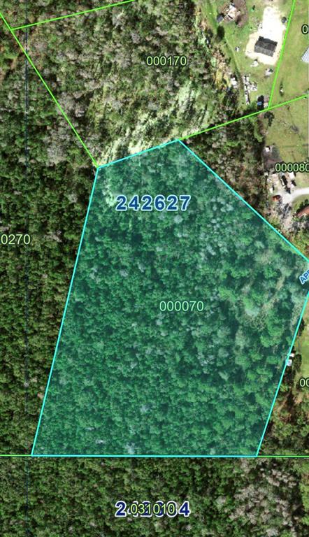 This is a satellite map view showing a highlighted parcel of land surrounded by trees — 2904 APPALACHIAN TRAIL, POLK CITY, FL