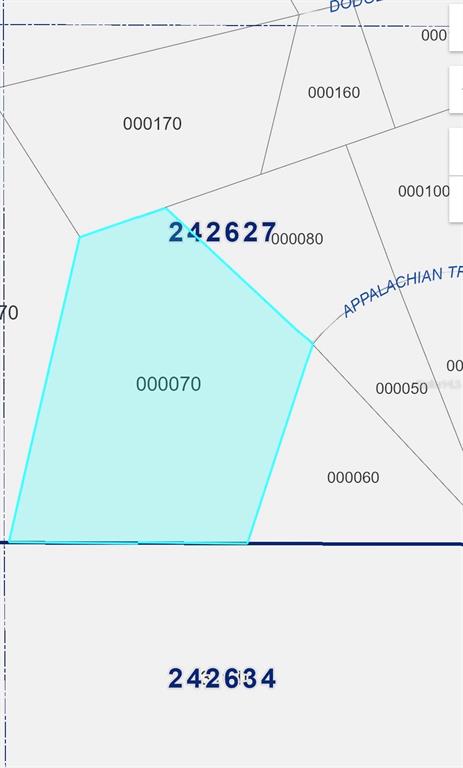 This is a tax map showing property parcel boundaries and identification numbers — 2904 APPALACHIAN TRAIL, POLK CITY, FL