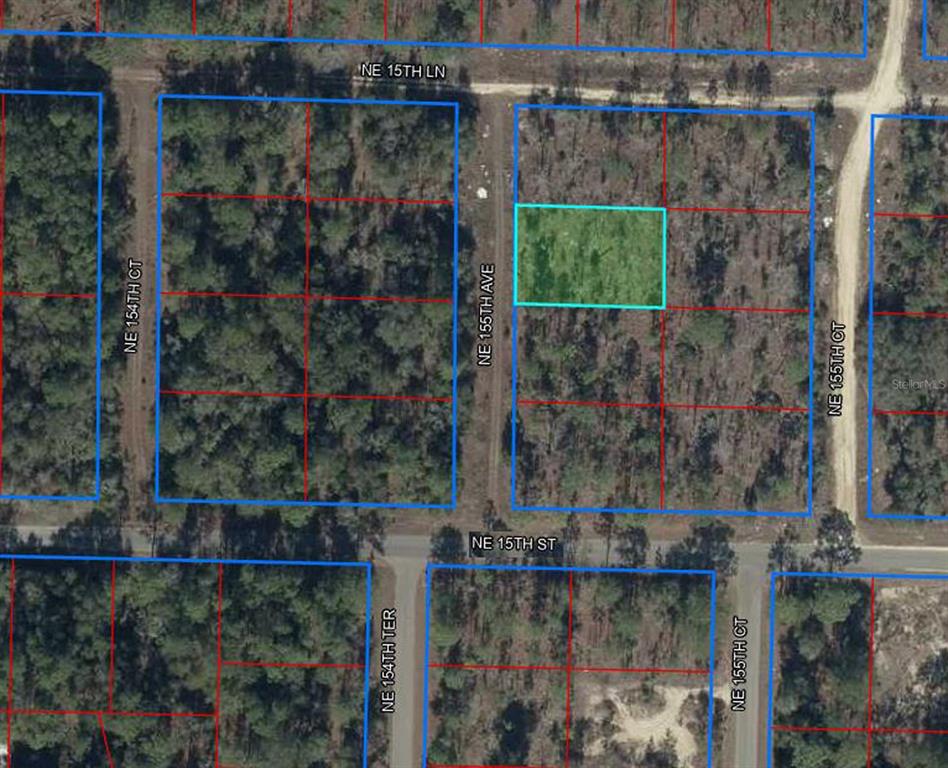 tbd NE 155TH AVENUE, WILLISTON, FL — photo 2 of 4