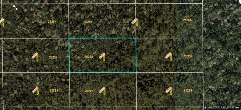 An aerial map view shows a highlighted rectangular plot of land surrounded by wooded lots — DILL ROAD, ORLANDO, FL
