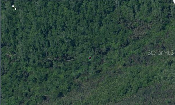 This is an aerial view of a densely wooded, undeveloped plot of land — DILL ROAD, ORLANDO, FL