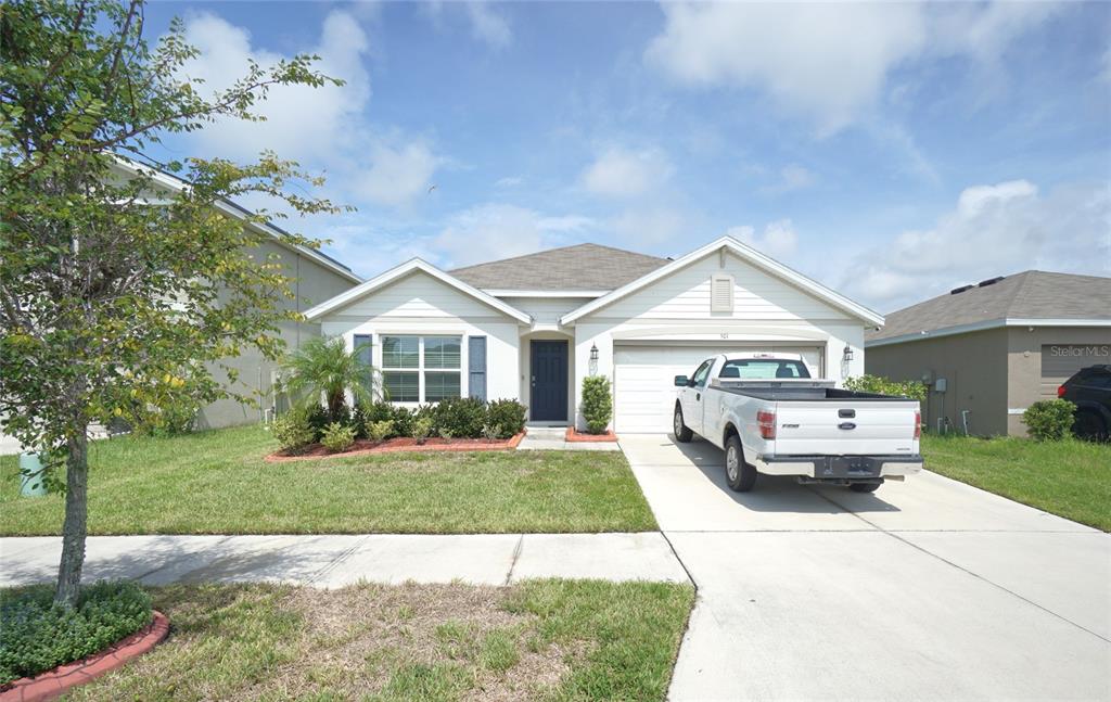 501 CALICO SCALLOP STREET