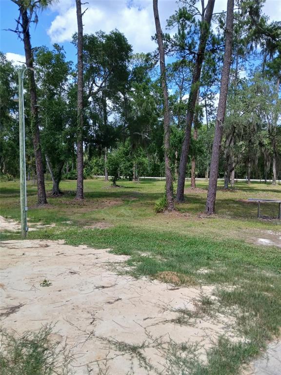 6800 NE 175TH ST. ROAD, CITRA, FL — photo 4 of 28