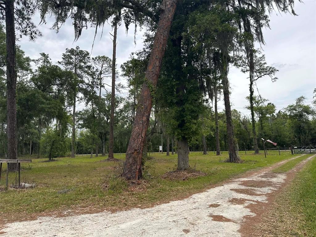 6800 NE 175TH ST. ROAD, CITRA, FL — photo 5 of 28