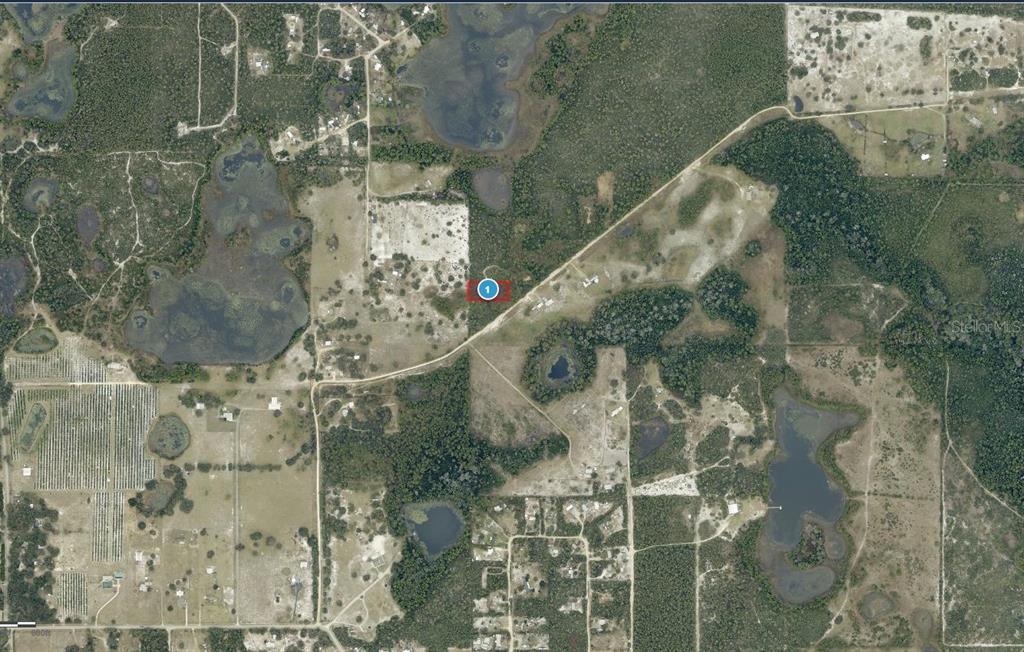 This is an aerial map view of a rural property marked with a location pin — 28-17-28-0004-000-03100 BUCK RUN DRIVE, PAISLEY, FL