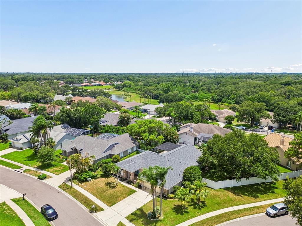 An aerial view shows suburban houses with gray roofs, green lawns, and surrounding trees — 1776 WOOD THRUSH WAY, PALM HARBOR, FL