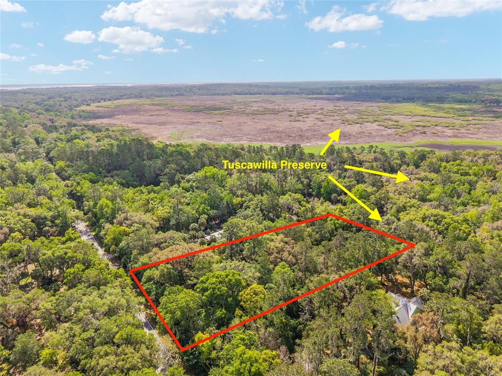 An aerial view shows a rectangular plot of land outlined in red near Tuscawilla Preserve — 227 SE TUSCAWILLA ROAD, MICANOPY, FL